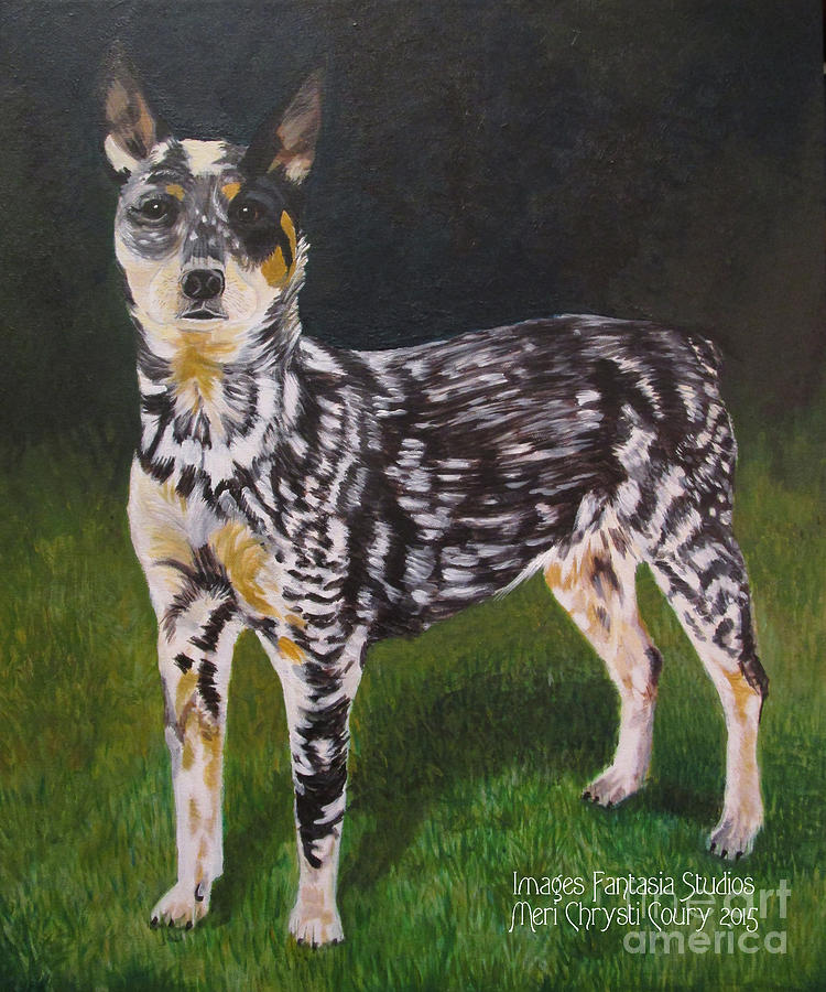 Dog Painting - Dotti by Meri Coury