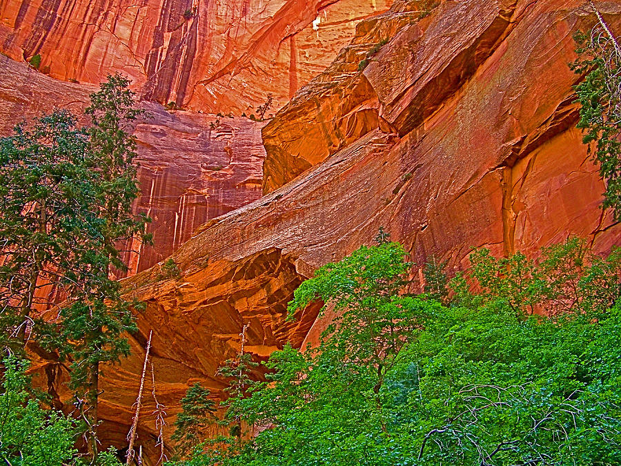 Double Arch Alcove from Taylor Creek Trail in Kolob Canyon in Zion National Park-Utah Photograph by Ruth Hager