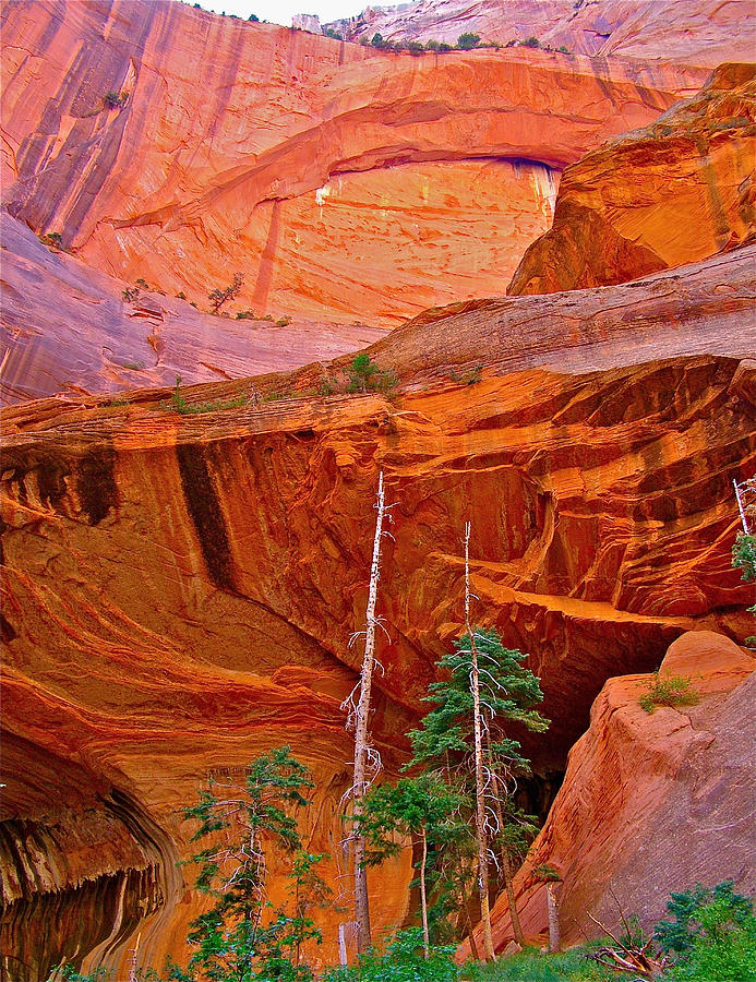 Double Arch Alcove on Taylor Creek Trail in Kolob Canyons in Zion  National Park, Utah #3 Photograph by Ruth Hager