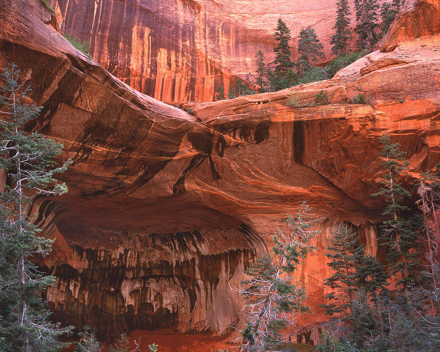 Double Arch Alcove Photograph by Ray Mathis