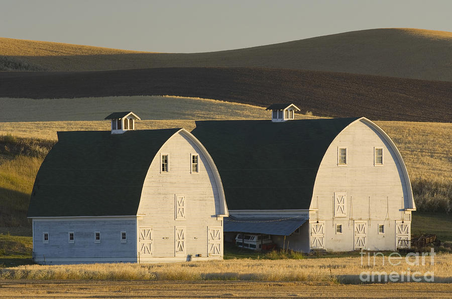 Farm Photograph - Double Barns by John Shaw