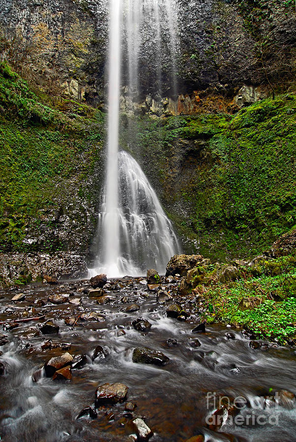 Nature Photograph - Double Falls in Silver Falls State Park in Oregon by Jamie Pham
