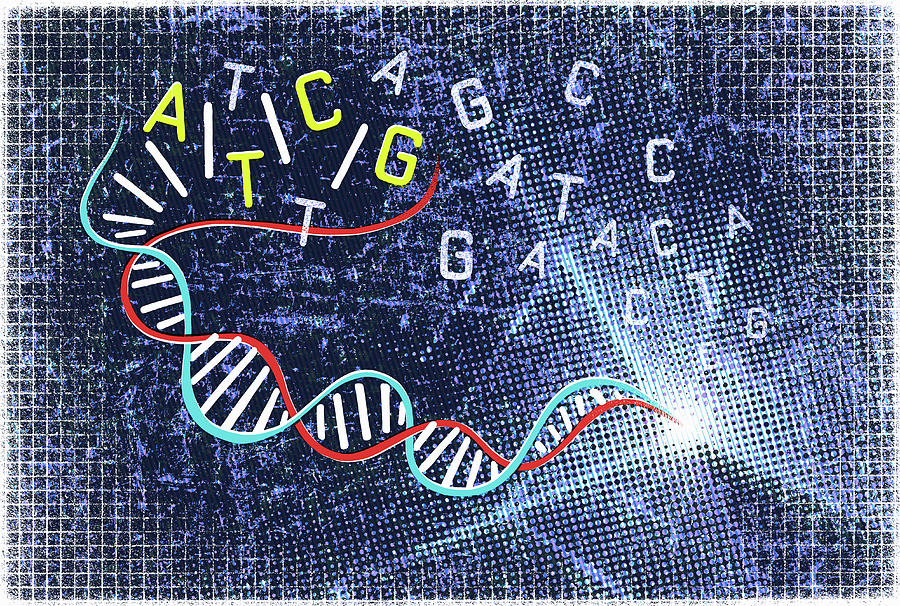 Double Helix And Genetic Code Photograph by Ikon Ikon Images