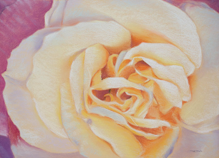 Double Helix Rose Pastel by Christopher Reid
