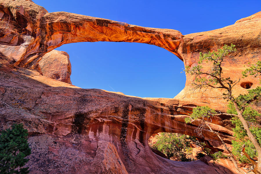 Arches National Park Photograph - Double O by Greg Norrell