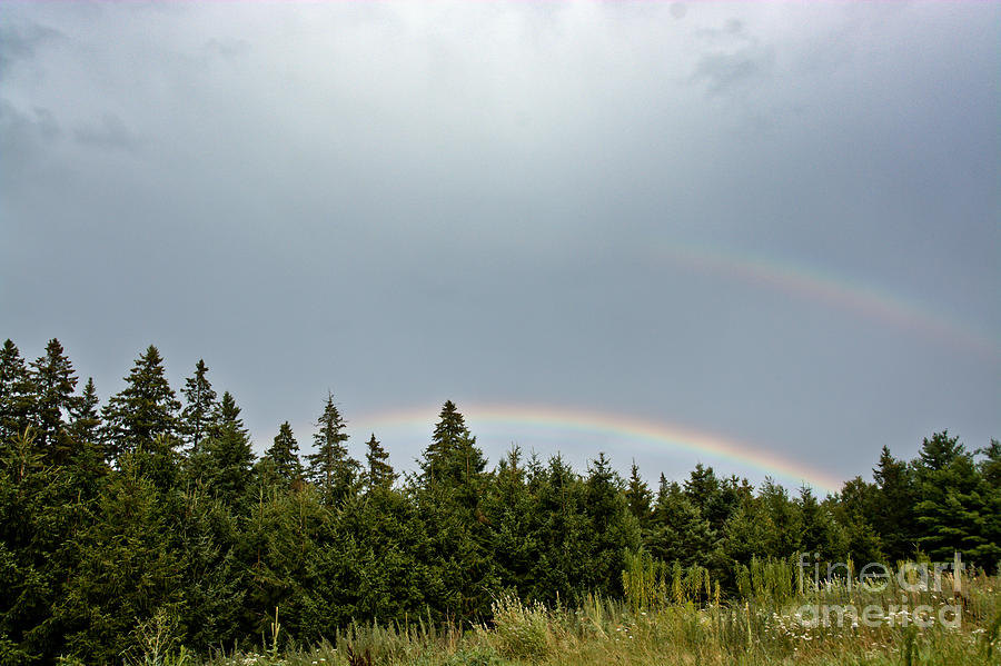 Double Rainbow Photograph by Cheryl Baxter