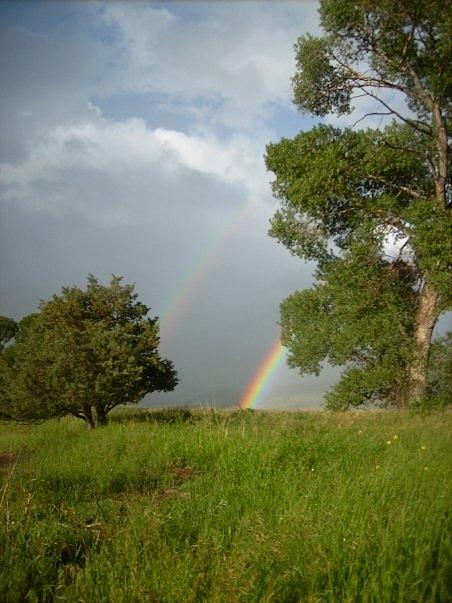 Landscape Photograph - Double Rainbow in Oaks by Savannah McCann