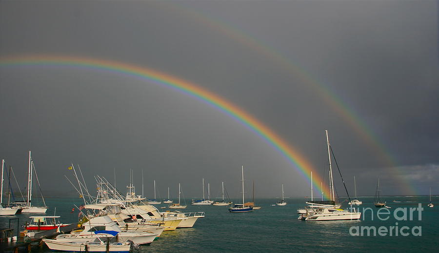 Double Rainbow Photograph by Joan McArthur