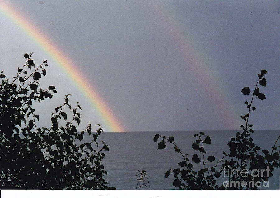 Double Rainbow Joy Photograph by Barbara Plattenburg