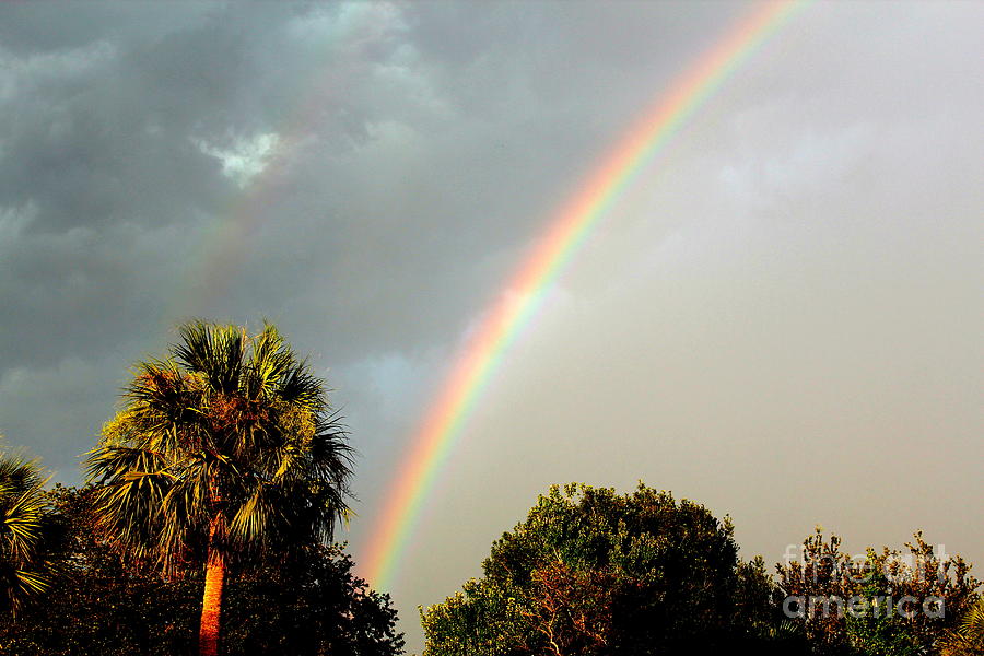 Rainbow Photograph - Double Rainbow - Left Side by Carla Anklam Rainbow Photograph - Double Rainbow - Left Side by Carla Anklam