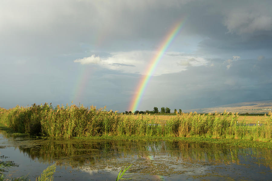 Double Rainbow Over Agamon Ahula Photograph by Dorit Bar-zakay