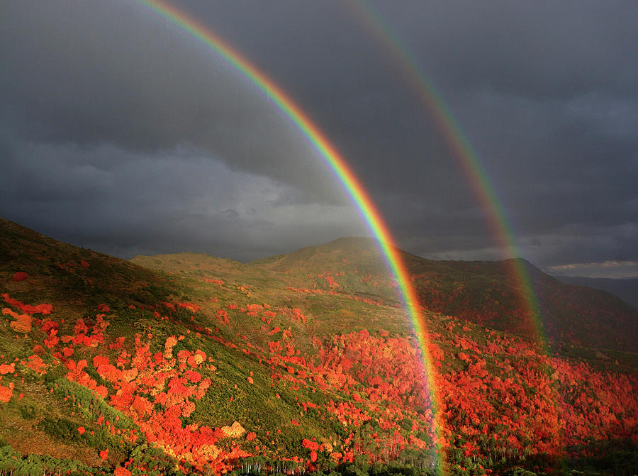 Double Rainbow Over Fall Foliage Photograph by Adam Barker Double Rainbow Over Fall Foliage Photograph by Adam Barker