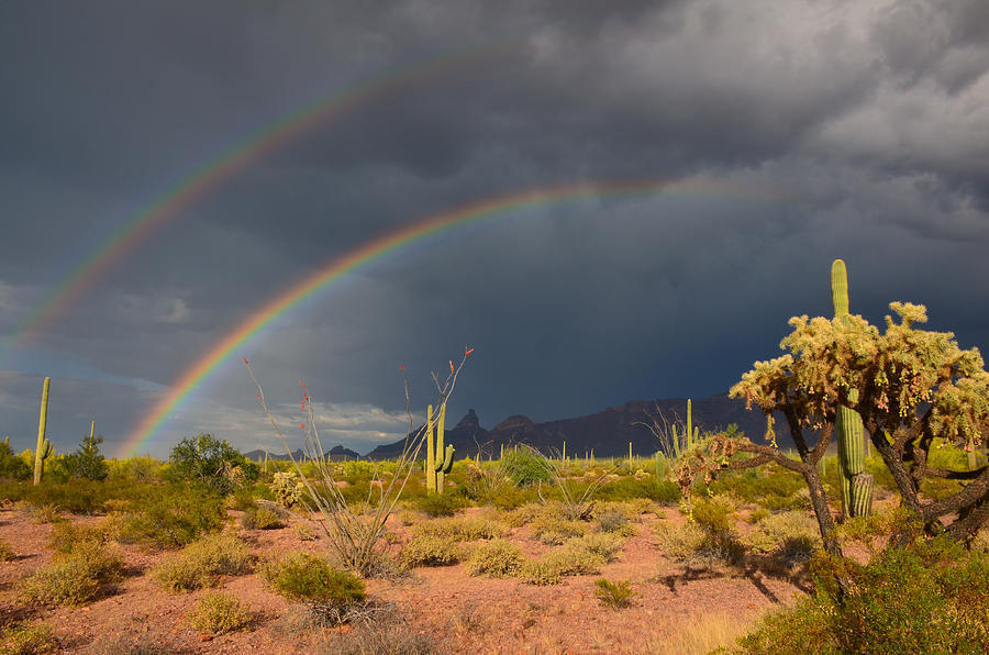 Double Rainbow Over Organ Pipe Photograph by Ken Reece - Fine Art America