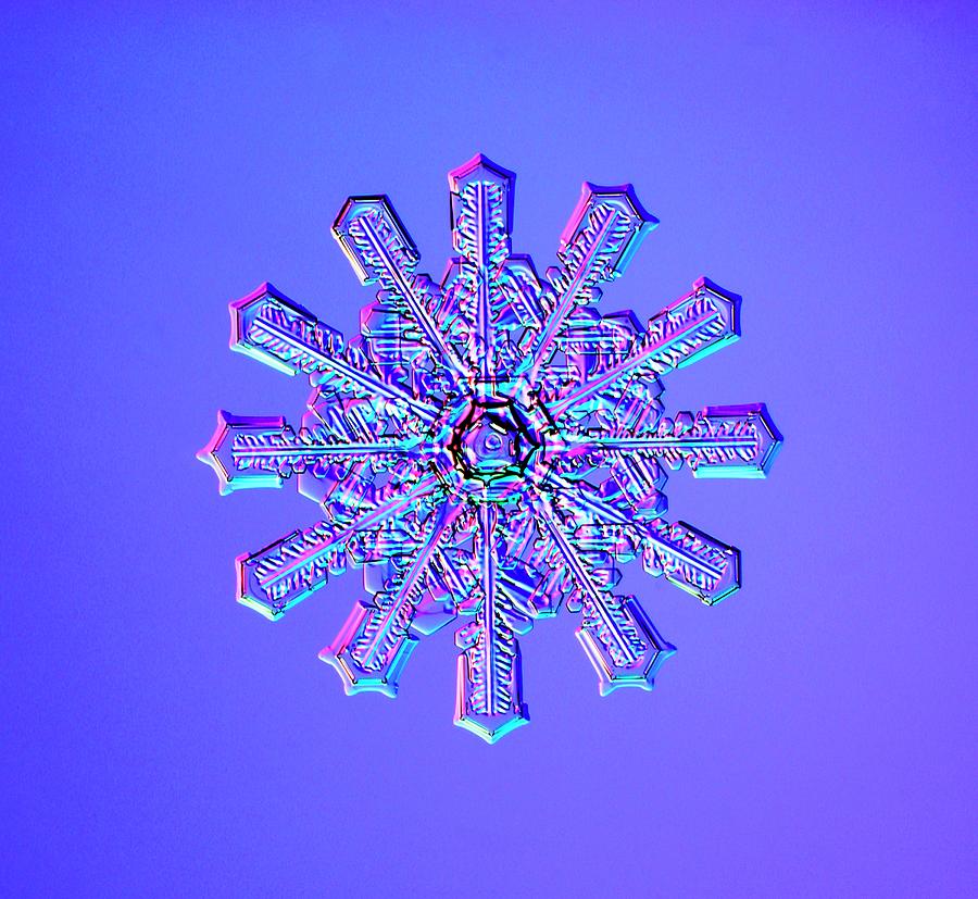 Double Snowflake Photograph by Kenneth Libbrecht/science Photo Library