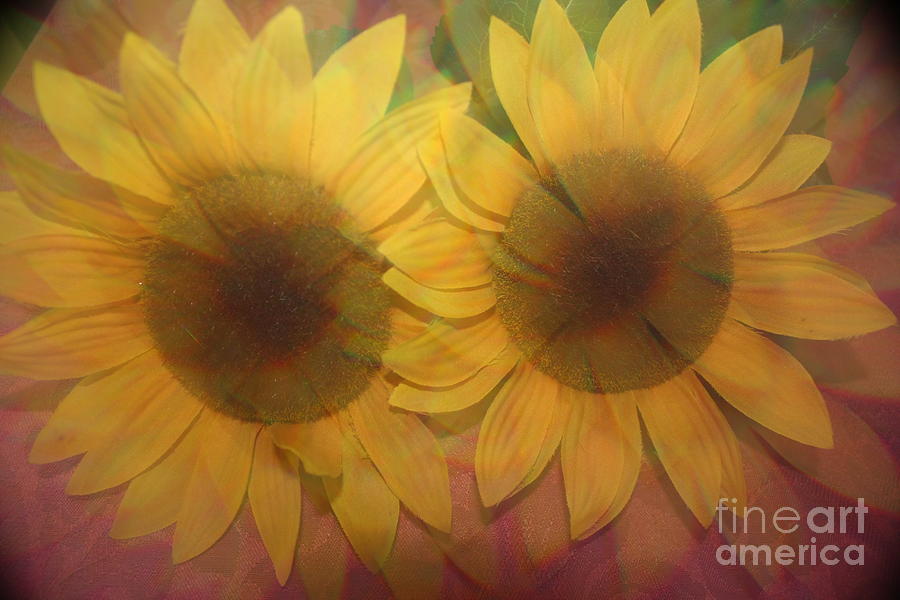 Double Sunshine -Impressionistc  Sunflowers Photograph by Dora Sofia Caputo