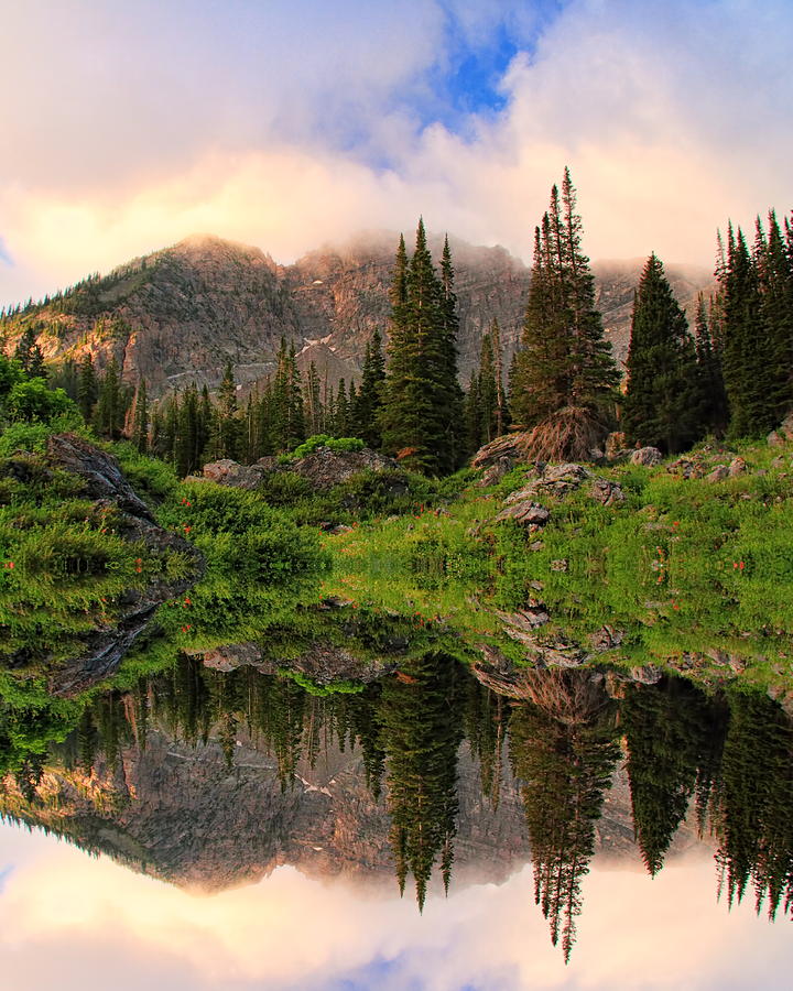 Double Take by Gene Praag Double Take by Gene Praag