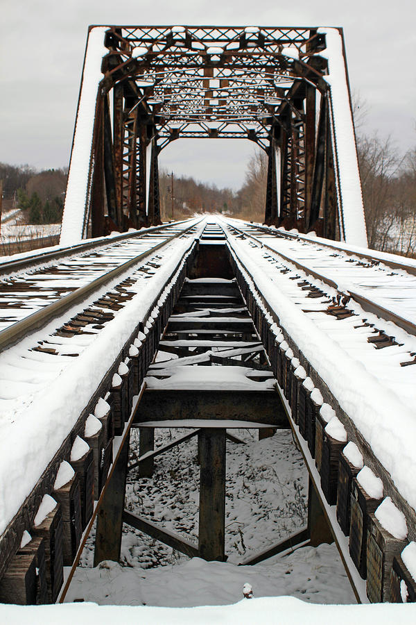 Double Track Photograph by Jennifer Robin
