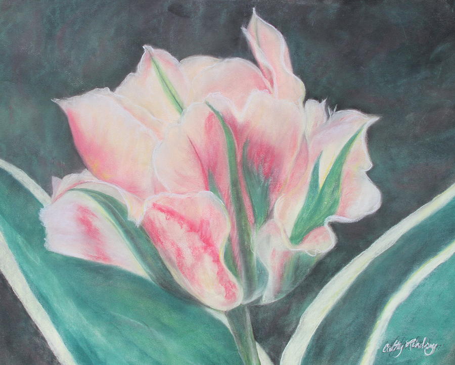 Tulip Painting - Double Tulip by Cathy Lindsey