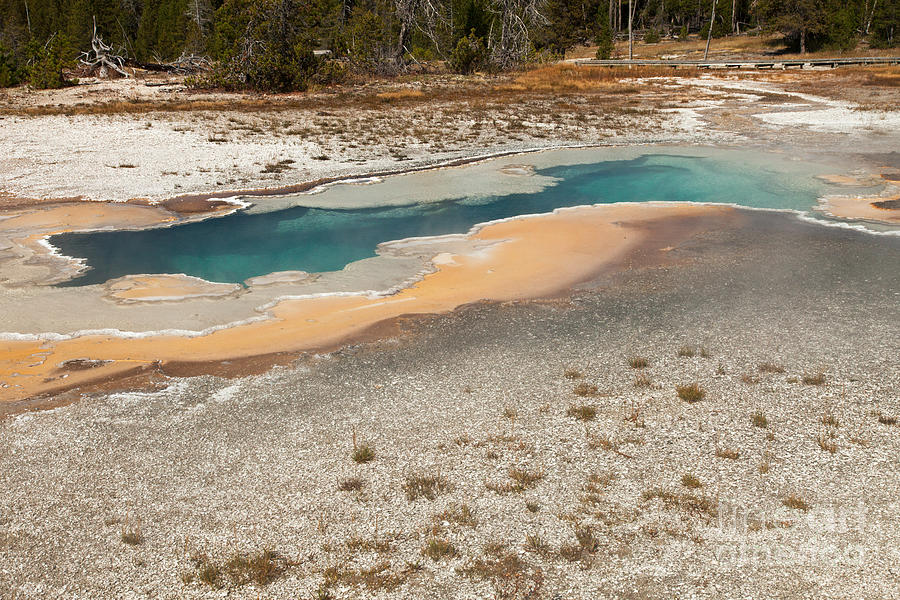 Doublet Pool Upper Geyser Basin Photograph by Fred Stearns