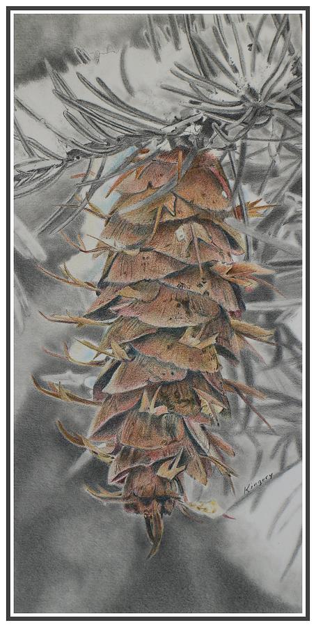 Douglas Fir Pine Cone Drawing by Scott Kingery