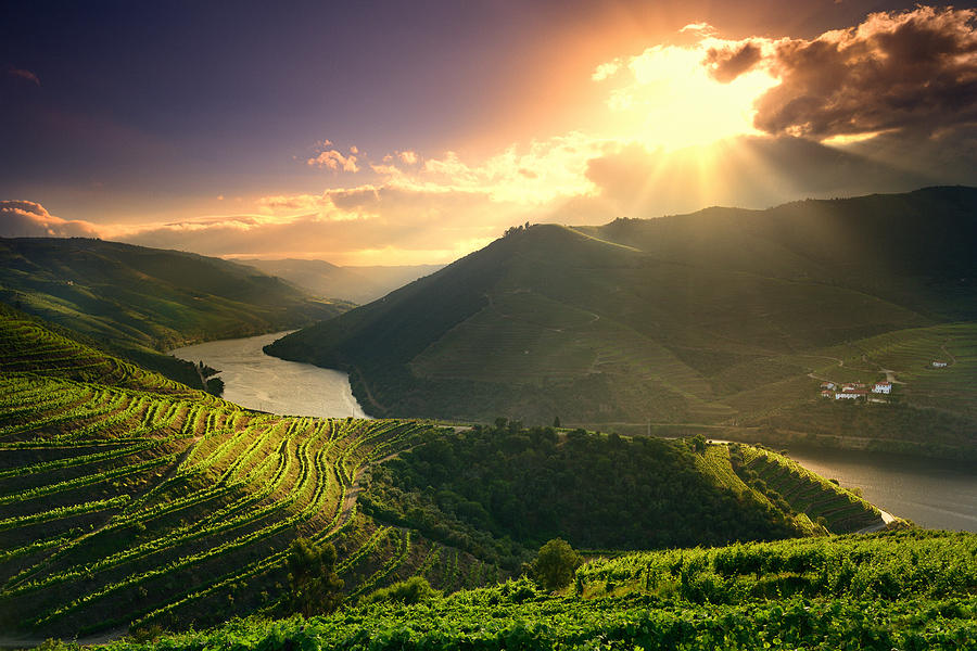 Douro River at sunset Photograph by Paulo Dias Photography