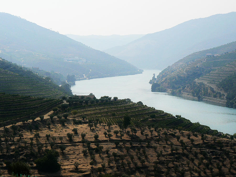Douro River Photograph by Paulo Goncalves