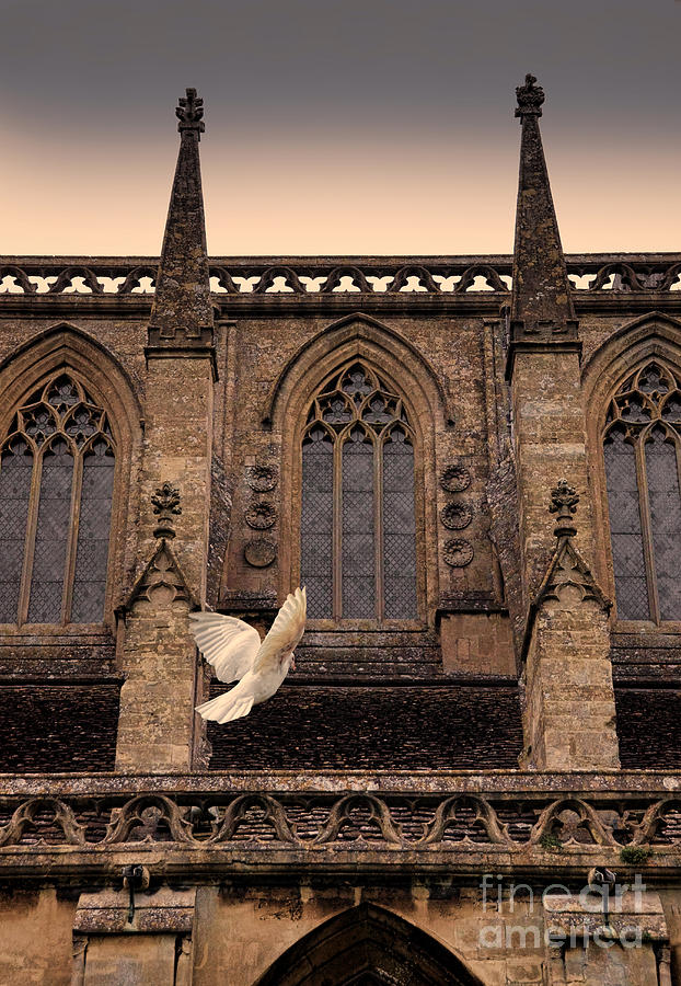 Dove Flying by Church Photograph by Jill Battaglia