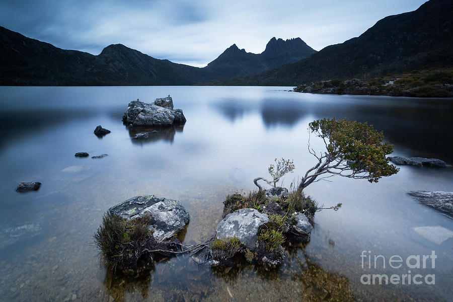 Dove lake Cradle mountain national park Tasmania Australia Photograph by Matteo Colombo