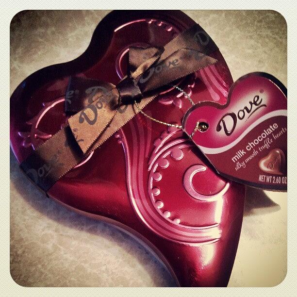 Dove Photograph - Dove Milk Chocolate.  #dove by Tracy Hager