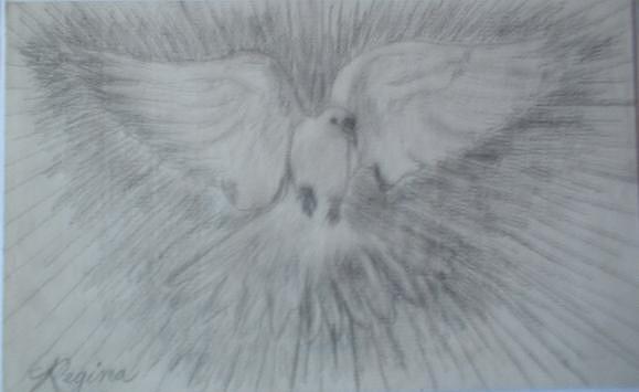 DOVE of PEACE Drawing by Regina Taormino