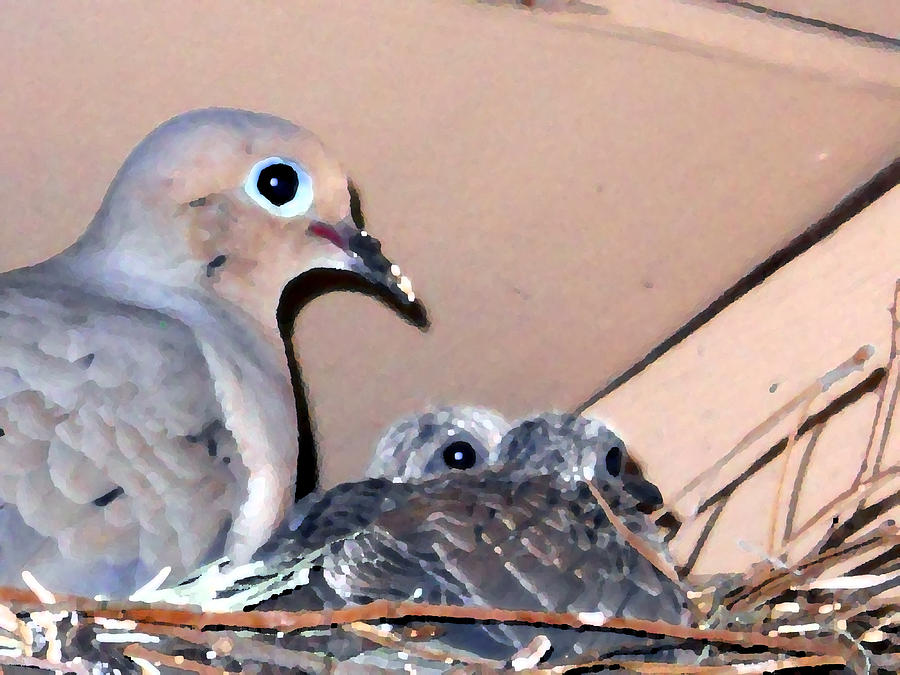 Dove With Babies 2 Digital Art