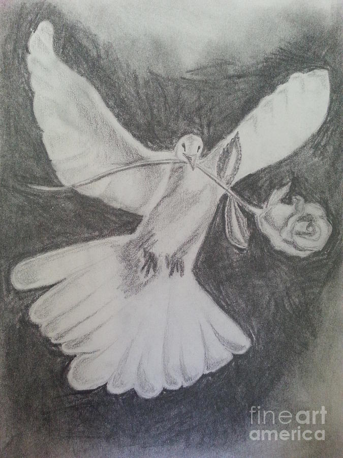 Dove With Rose Drawing by Nicole Farley