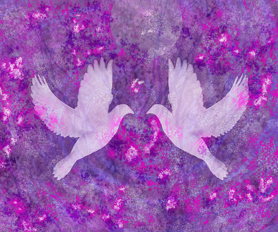 Doves Digital Art by James Farrant - Fine Art America