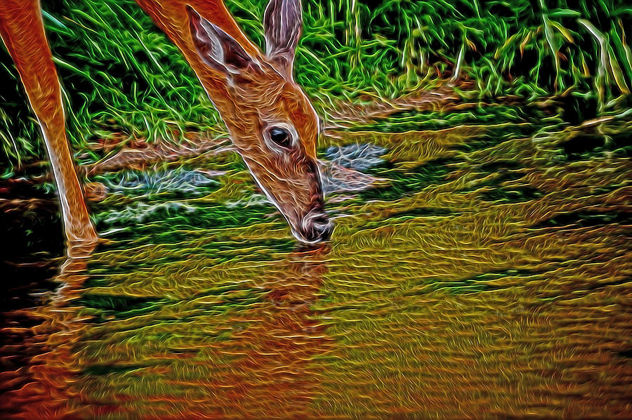 Deer Digital Art - Down by the Creek Digital Art by Ernest Echols