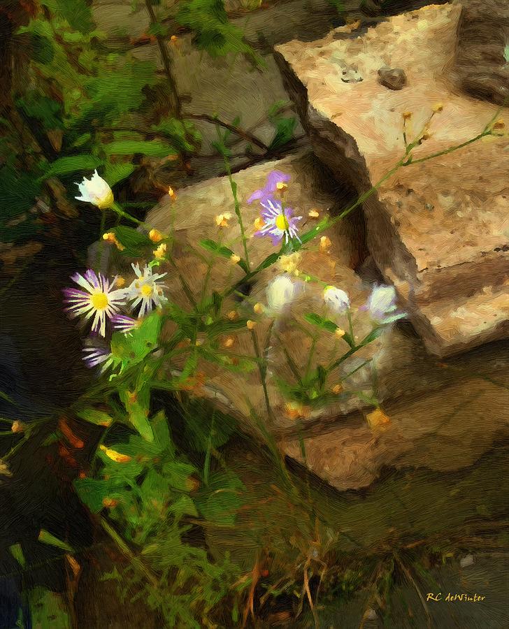 Summer Painting - Down by the Creek by RC DeWinter