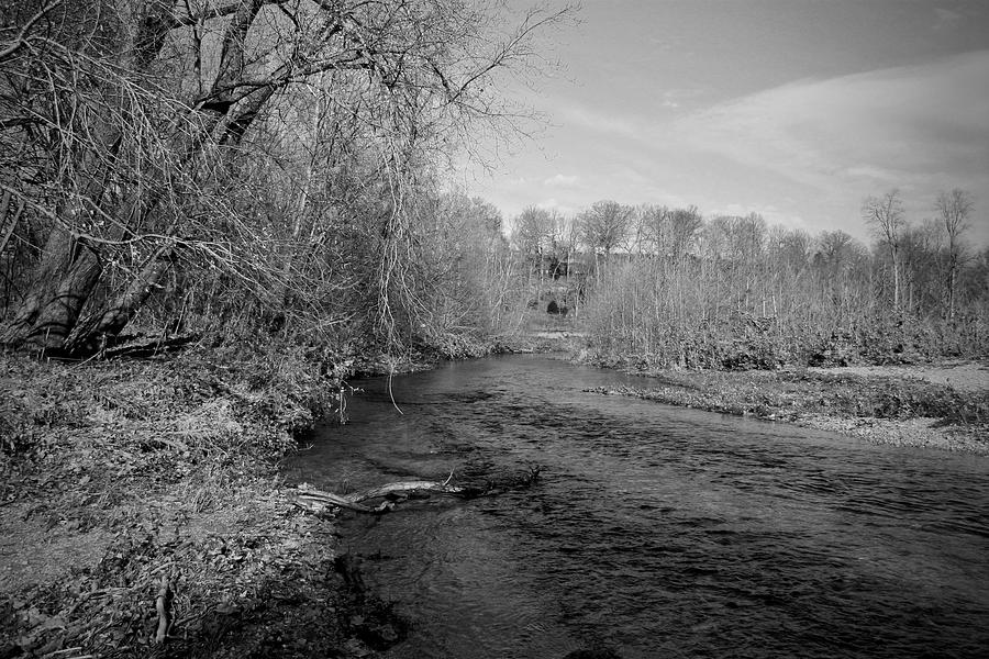 Down by the River Photograph by Amanda Greetham - Fine Art America