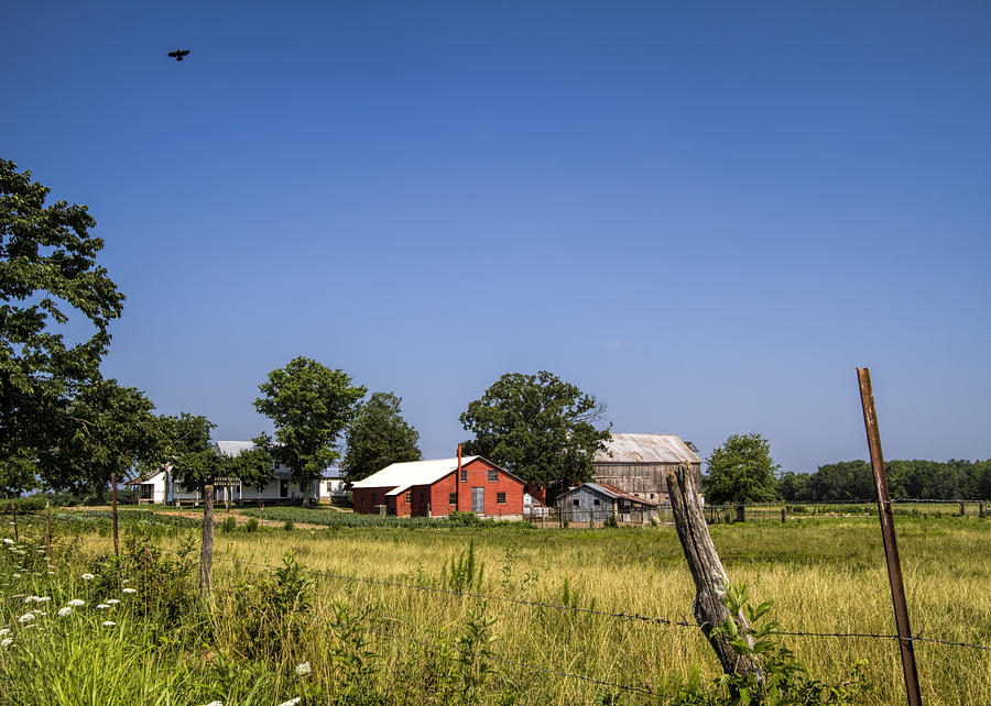 Farm Photograph - Down Home Amish Farm by Kathy Clark