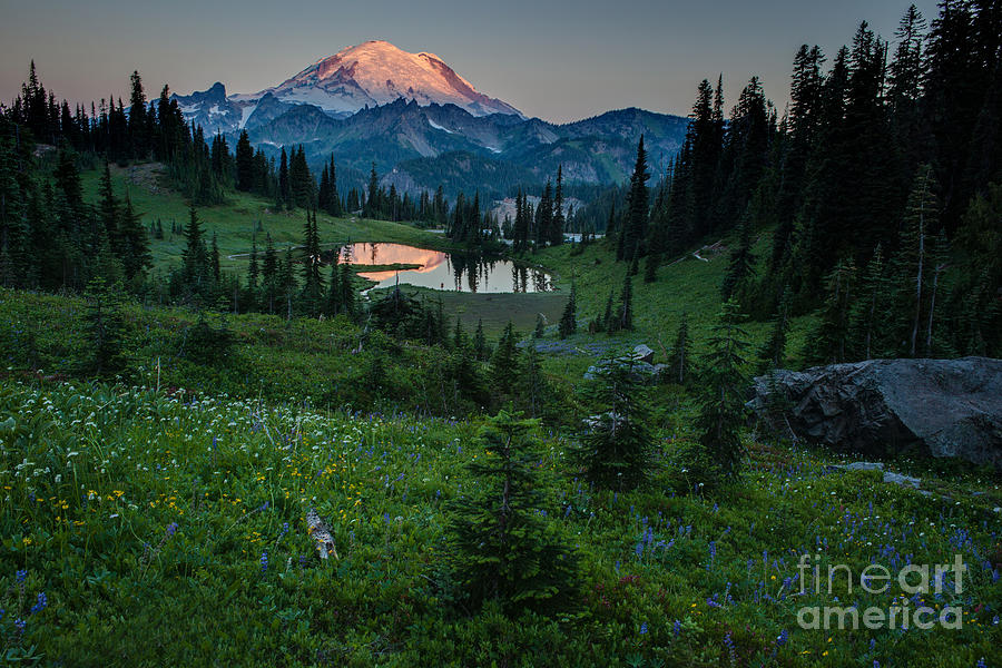 National Parks Photograph - Down the Valley to Rainier by Mike Reid