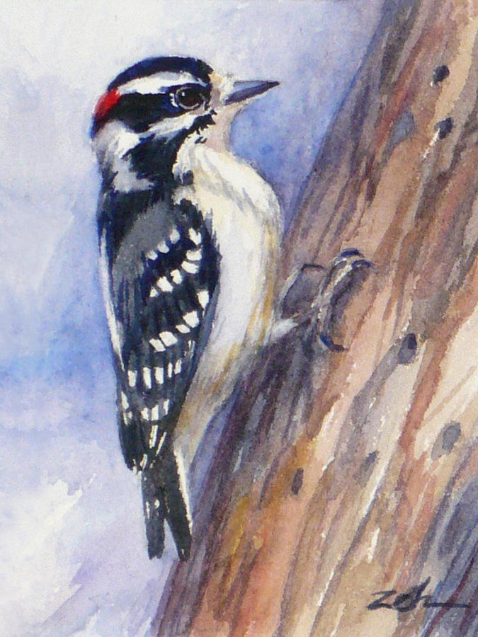 Downey Woodpecker Painting by Janet Zeh