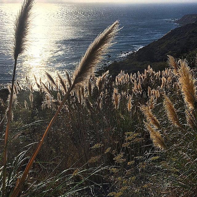 Pch Photograph - Downhill Never Looked So Good. #pch by Samantha Ouellette