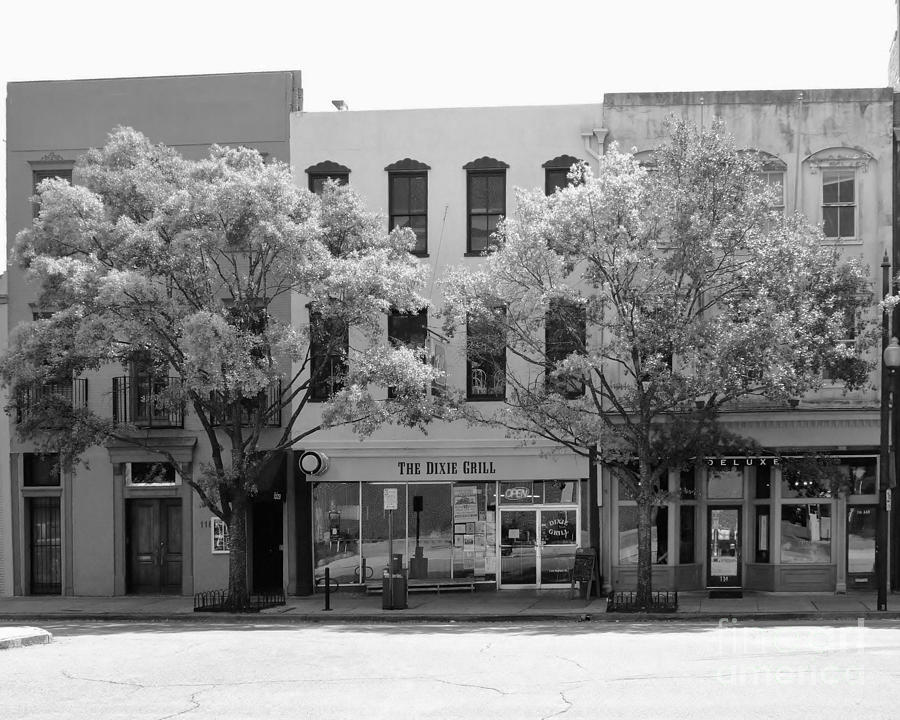 Dixie Grille In Black And White Photograph by Bob Sample