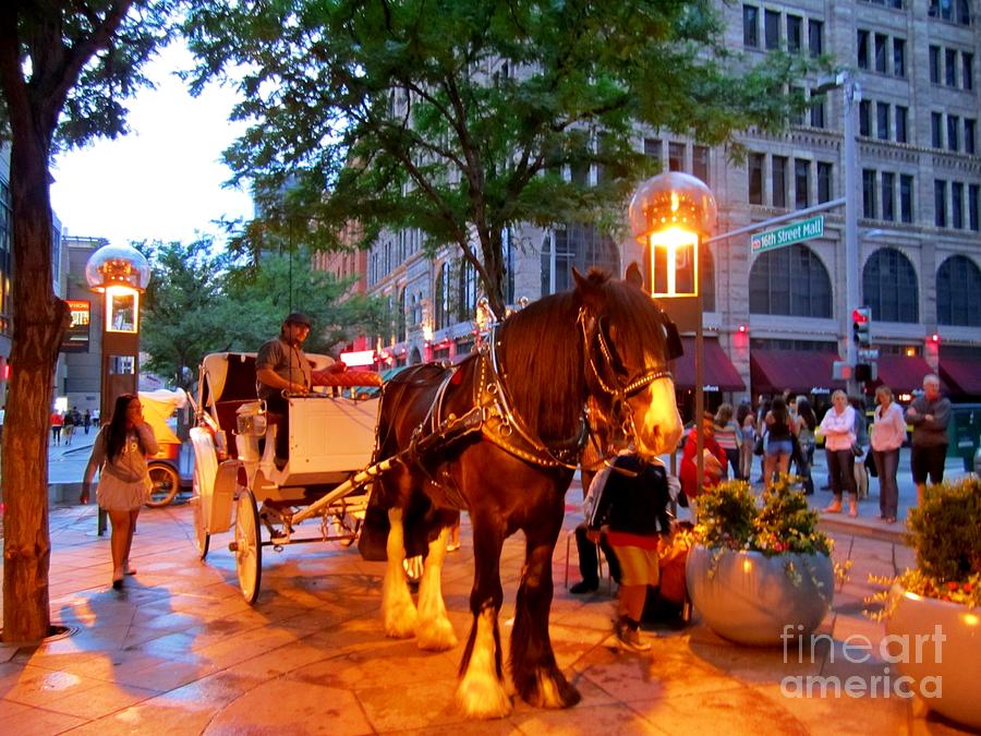 Horse Photograph - Downtown Denver Colorado by Crystal Loppie