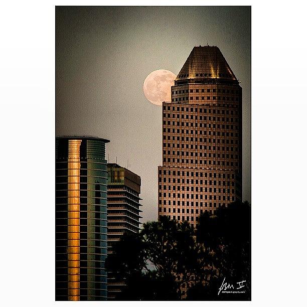 Downtown Houston, Bank Of America Photograph by Jb Manning