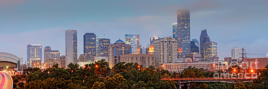 Tree Photograph - Downtown Houston Panorama at Dawn by Silvio Ligutti