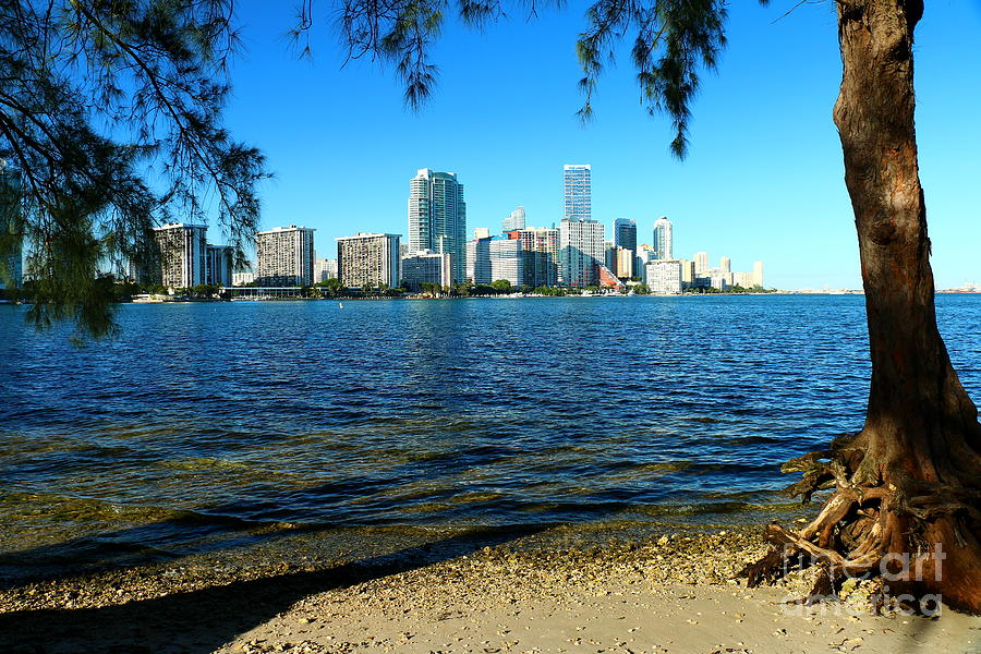 Downtown Miami View Photograph by Christiane Schulze Art And ...