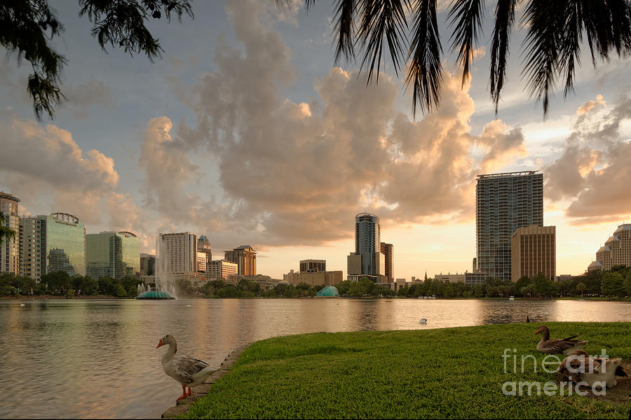 Orlando Photograph - Downtown Orlando Skyline Lake Eola Sunset by Silvio Ligutti