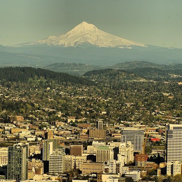 Spring Photograph - Downtown Portland And Mt. Hood by Mike Warner
