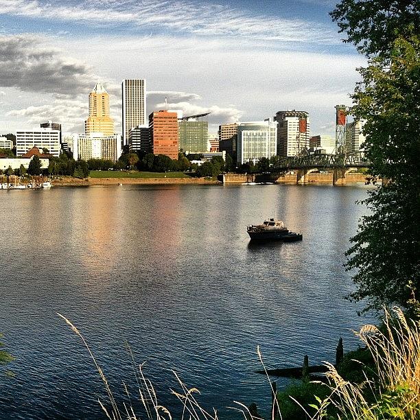 Portland Photograph - Downtown Portland Looking Beautiful On by Mike Warner