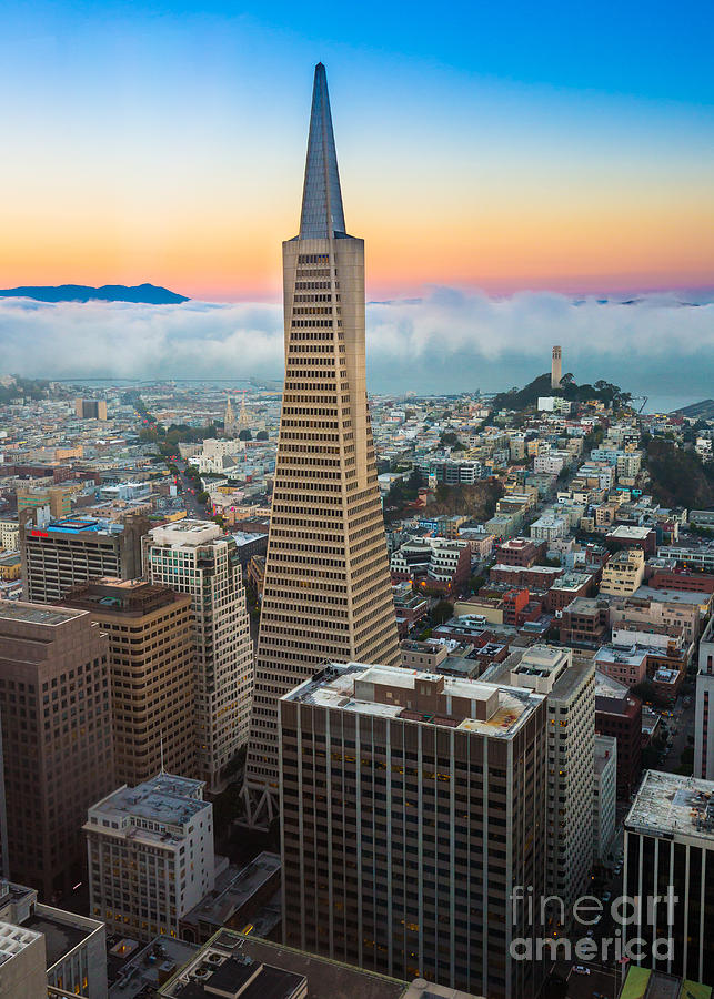 San Francisco Fog Photograph by Inge Johnsson