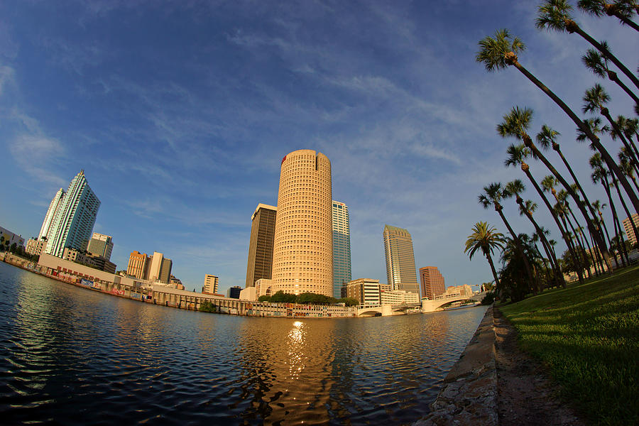 Downtown Tampa from Plant Park Photograph by Daniel Woodrum